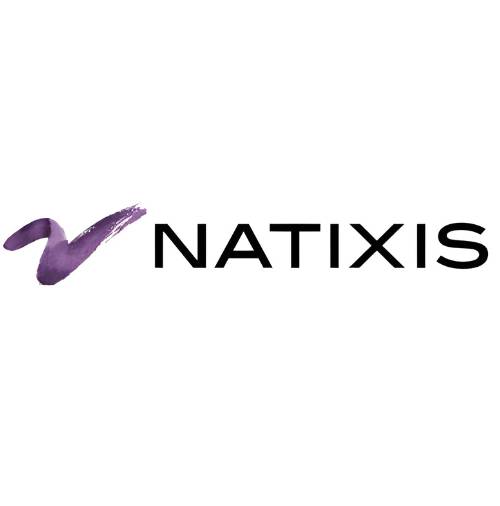 NATIXIS pour TPE Ingenico